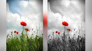 Photoshop Tutorial  Spot Color BampW [upl. by Pierrepont]