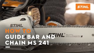 STIHL MS 241 ꘡ How to check the guide bar and saw chain of a chainsaw  Instruction [upl. by Neri]