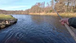 Salmon fishing at Tulchan day 3 [upl. by Reed]