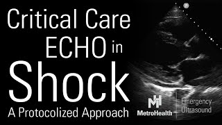 Critical Care Echocardiography in Shock [upl. by Liek]