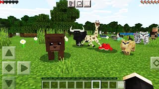 More WORLD ANIMALS in Minecraft PE Bears Tigers Crocodiles Sharks and More [upl. by Prendergast]