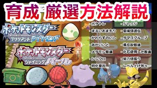 【BDSP】ポケモン育成、厳選方法をわかりやすく解説！【ダイパリメイク】 [upl. by Pacheco]