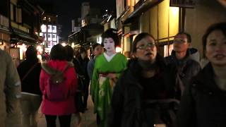 The Beauty of Geisha in Kyoto Japan [upl. by Steady]