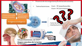 FISIOPATOLOGÍA DE LA FIEBRE 🌡️ FÁCIL CORRELACIÓN CLÍNICA Y COMO DIFERENCIARLO DE LA HIPERTERMIA [upl. by Adnwahs]