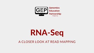 RNASeq Read Mapping [upl. by Etiuqram969]