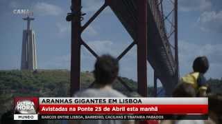 PEGADINHA ARANHA GIGANTE  ASSUSTANDO PESSOAS  Giant Spider Prank [upl. by Cassaundra]