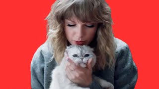 the best of Taylor and her cats [upl. by Oletta]