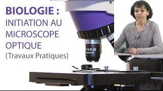 Initiation au Microscope Optique [upl. by Silenay]