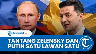 Minta Duel Satu Lawan Satu Stephen King Saya Ingin Lihat Tuan Z Tendang Pantat Putin [upl. by Aliwt524]