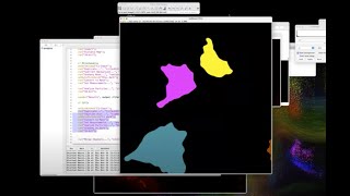 Automating analysis with Fiji ImageJ [upl. by Annerol]