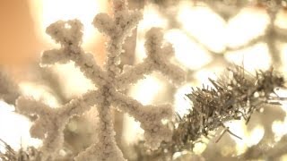 How to Make Borax Crystal Snowflakes  Kin Community [upl. by Ahtanamas185]