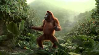 funny chimpanzee dancing after drinking orange juice [upl. by Riddle]