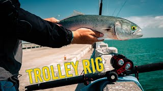 Spring Fishing on the SKYWAY Pier Using a Trolley Rig [upl. by Rici757]