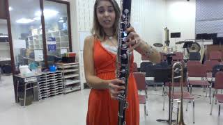 Bass Clarinet Bb Concert Scale C Major [upl. by Ayian395]