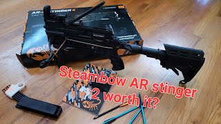 Steambow review AR 6 stinger 2 [upl. by Ardnuassac]