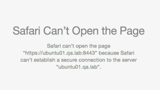 How to fix Safari Cant Establish a Secure Connection to the Server on Mac  Fixed [upl. by As]