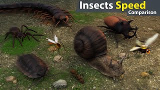 Insects Speed Comparison  Whos the Fastest Bug on Earth [upl. by Figge]