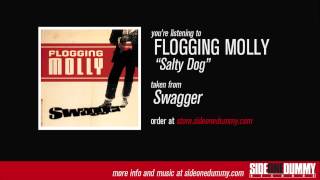 Flogging Molly  Salty Dog [upl. by Selwyn]