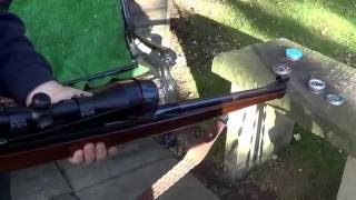 bsa stutzen air rifle review and shooting 22cal [upl. by Lucy]