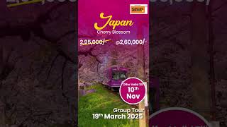 Japan Tour  Smiles Holidays  Tours amp Travel Company  Pune [upl. by Cheri]