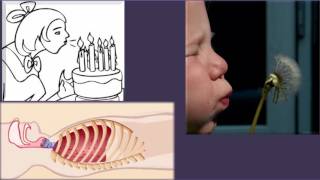 Instructie video buikademhaling v4 [upl. by Ieluuk]