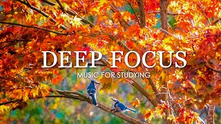 Focus Music for Work and Studying  4 Hours of Ambient Study Music to Concentrate [upl. by Karly]