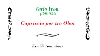 Yvon Capriccio for 3 Oboes [upl. by Ahsenav]