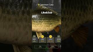 Old Burg Trophy COMMON CARP RUSSIAN FISHING 4 RF4 [upl. by Lilllie]