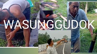 wasung pengmo gudok [upl. by Wunder]