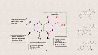 CiprofloxacinoLevofloxacinoMoxifloxacino antibacterianos síntesis introducción [upl. by Rocray]