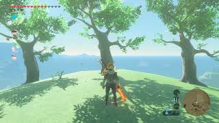 Korok seeds  Ulria Grotto North  Akkala Tower 57  Zelda BOTW [upl. by Acira]