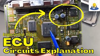 Engine Control Module ECU Circuits Working Explanation [upl. by Tra]