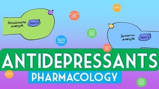 Antidepressants Pharmacology  Soton Brain Hub [upl. by Paluas735]