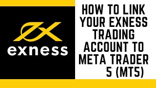 How to link your Exness Trading Account to Meta Trader 5 MT5 Very Detailed [upl. by Oidualc]