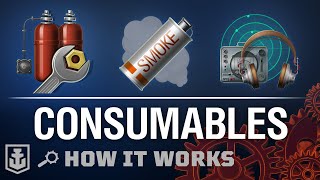 How it Works Consumables [upl. by Eiramenna]