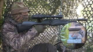 The Airgun Show – manic squirrel hunt with the Walther RM8 PLUS the new BSA Ultra CLX on test… [upl. by Helsell]