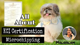 📜 Know Everything About KCI Certificate amp Microchipping  Malayalam  Pavis Pawdcast 🐾 [upl. by Rivy]