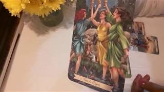 Virgo Solteros Febrero 2019 Mariposa Moonarca Tarot [upl. by Rosenstein]