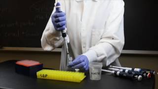 How to Use a Micropipette  SEP [upl. by Gentes]