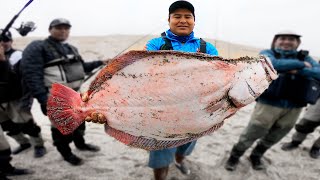 Campeonato de Pesca  Ilo  Peru Organizado por Zona fishing [upl. by Wilber]