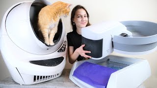 5 Best Automatic SelfCleaning Litter Boxes We Tested Them All [upl. by Eillah442]