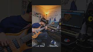 VELOURS  anomalie bass cover bass bassist music cover [upl. by Kingdon]