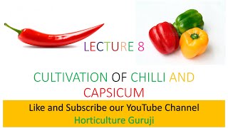 HORT211 Lecture 8 Cultivation Of Chilli And Capsicum [upl. by Efram904]