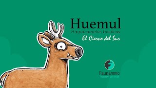 Huemul  El ciervo del sur  Animación Faunánimo [upl. by Aihsaei]