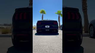 Get a closer look at the Roush Mustang exhaust sound [upl. by Sacks]