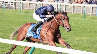 Racings new superstar City Of Troy draws comparisons with Frankel in Dewhurst romp [upl. by Asilram]