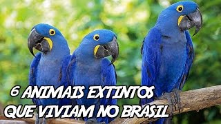 6 animais extintos fascinantes que viviam no Brasil [upl. by Alithea150]