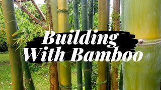 Building with Bamboo Framing a Roof [upl. by Schnorr]