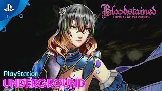 Bloodstained Ritual of the Night  All Bosses 1080p [upl. by Nnyllaf]