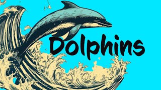 17 Dolphin FACTS to know 🐬 Animals for Kids [upl. by Siri484]